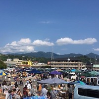 画像250
