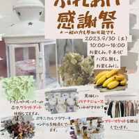 画像276